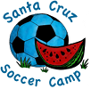SCSS Logo